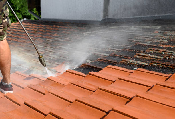 Best Pressure Washing Company Near Me  in East Douglas, MA