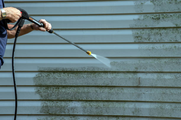 Best Exterior Home Cleaning  in East Douglas, MA