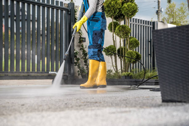 Best Roof Power Washing Services  in East Douglas, MA