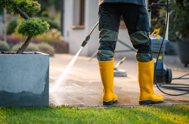 Best Affordable Power Washing  in East Douglas, MA